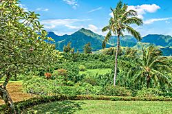 Hanalei Bay Resort Studio 8131