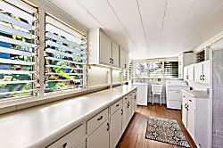 International Colony 17