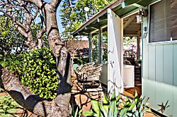 International Colony 17