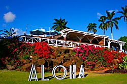 Kiahuna Plantation #432 (building 41)