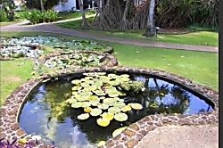 Kiahuna Plantation #432 (building 41)