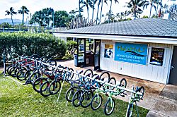 Turtle Bay Resort Villa 315