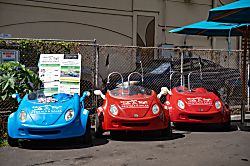 Pacific Monarch #2907