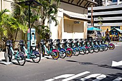 Pacific Monarch #2907