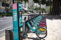 Pacific Monarch #2907