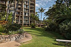 Valley Isle Resort 10th Floor Corner Unit