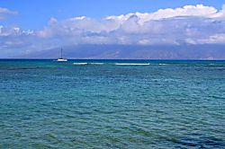 Kahana Reef #116