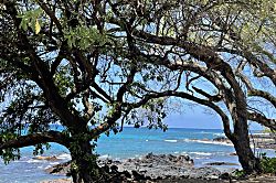 Kona Islander Inn Condo