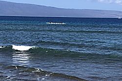 Maui Kai #203