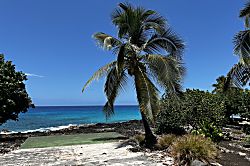 Paradise - White Sands Village