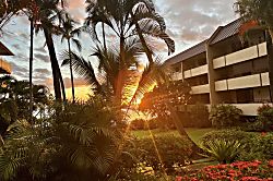 Paradise - White Sands Village