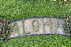 Sugar Beach Resort Oceanfront Condo Kihei