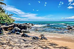 Mahina Surf 118