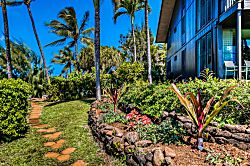 Mahina Surf 216