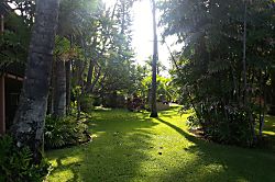 Maui Sands Seaside 708