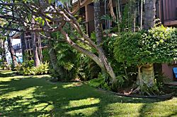 Maui Sands Seaside 715