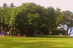 Maui Sands Seaside 719