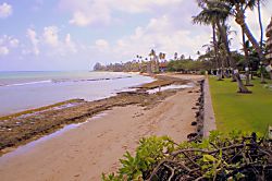 Maui Sands Seaside 719