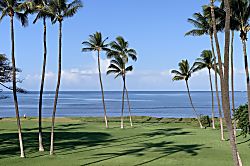 Leinaala Oceanfront #304