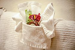 Hale Mauka Rainforest Retreat