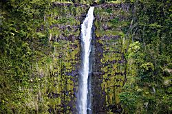 Hale Mauka Rainforest Retreat