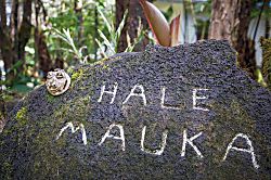 Hale Mauka Rainforest Retreat