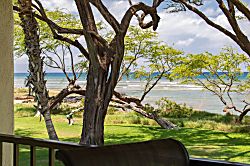 Waiohuli Beach Hale D227