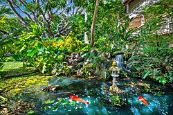 Waikomo Stream Villas 122