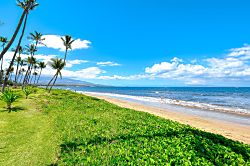 Sugar Beach Resort  523