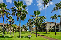 Pono Kai Resort J101