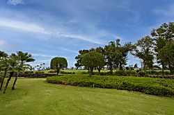 Emmalani Court 2BR Golf Course View Condo