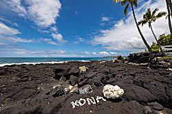 Kona Reef A-12