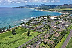 Plantation Hale Suites D11