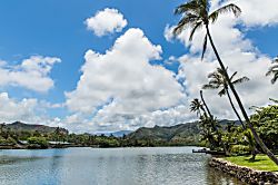 Plantation Hale Suites D11