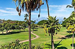 Maui Eldorado  G206A