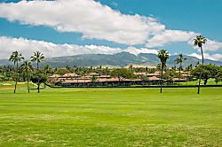 Maui Eldorado  G206A