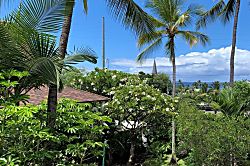 Kalanikai 208 - Tropical Oasis in Kailua-Kona