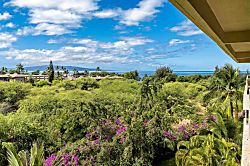 Hale Pau Hana Rental