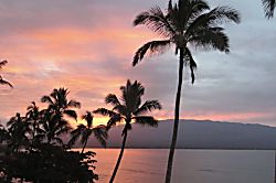  Kanai A Nalu unit #319