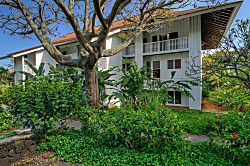 Kiahuna Plantation #245 (building 37)