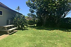 Kauai Cottage