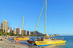 Waikiki Banyan #611-T2