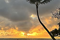 Kauai Kailani Ground Floor Unit
