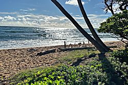 Kauai Kailani Ground Floor Unit