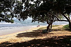 Kauai Kailani Ground Floor Unit