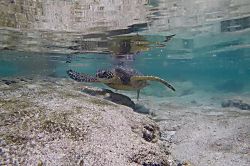 Kona Islander Inn Condo #129