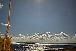 Kuhio Shores 1 Bedroom