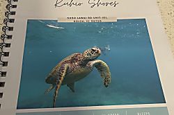 Kuhio Shores 1 Bedroom