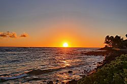 Kuhio Shores 1 Bedroom