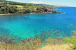 Hale Kai Unit 113 - Oceanview Corner Retreat